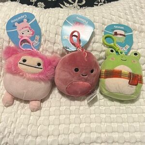NWT Squishmallow Clip Bundle - Wendy. Caparinne. Poleena. 3.5 inch